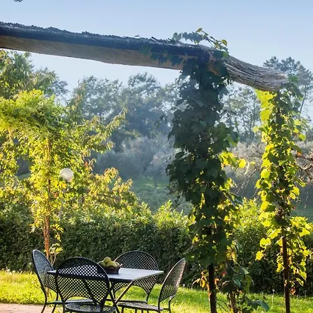 Fattoria Montignana