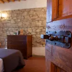 Fattoria Montignana Летний дом