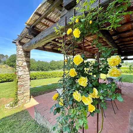 Fattoria Montignana Landsted