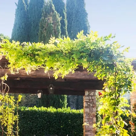 Fattoria Montignana San Casciano in Val di Pesa